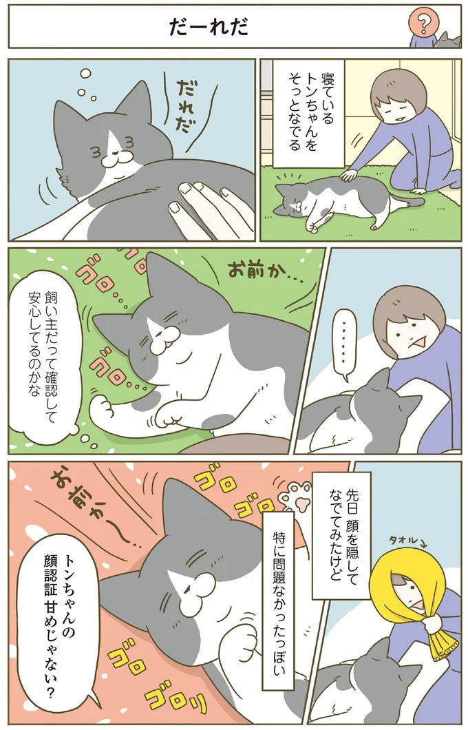 「えッ⁉ ネコチャンダッ‼」猫好きの引っ越し業者さん。愛猫たちの反応は／うちの猫がまた変なことしてる。7 ／うちの猫がまた変なことしてる。7（画像128/129枚目）