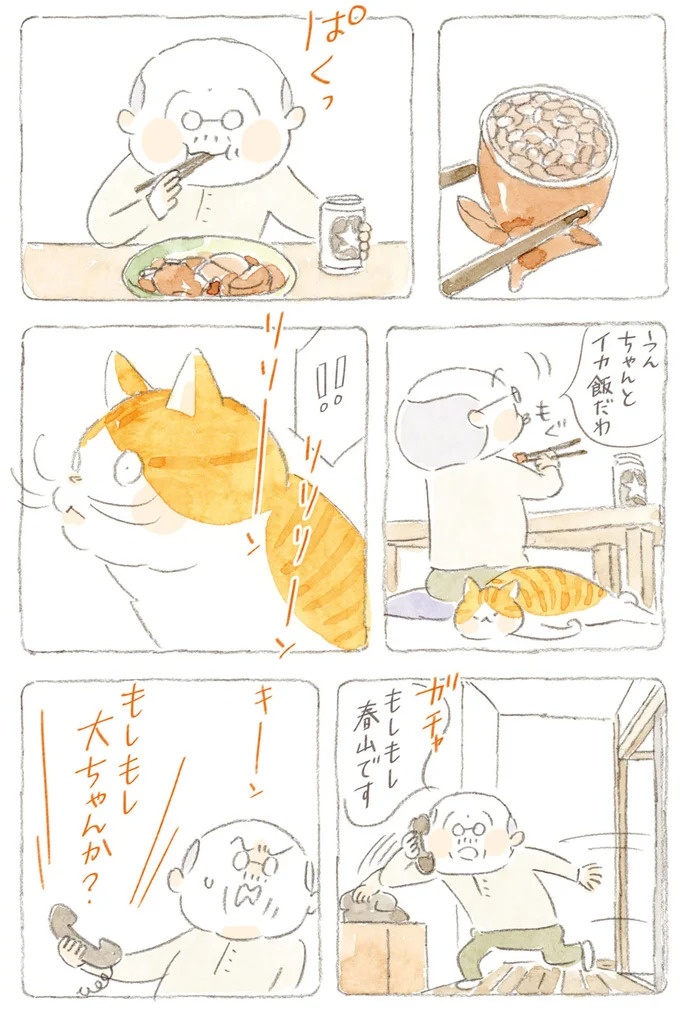 船を猫たちが港でお出迎え。じいちゃんも愛猫に起こされる穏やかな島の朝／ねことじいちゃん7（画像19/143枚目）