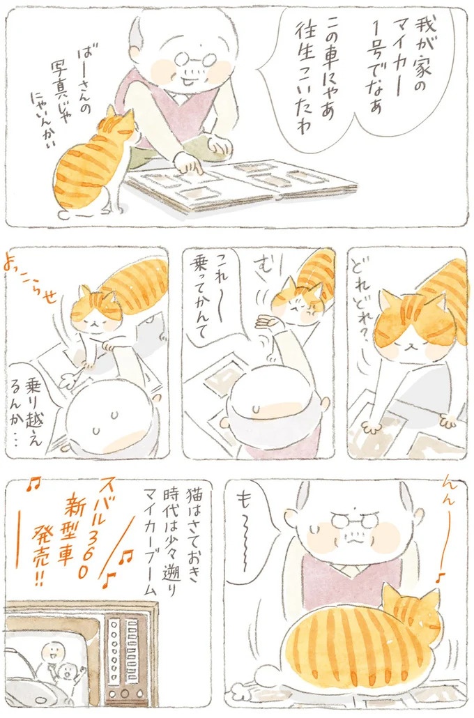 船を猫たちが港でお出迎え。じいちゃんも愛猫に起こされる穏やかな島の朝／ねことじいちゃん7（画像33/143枚目）