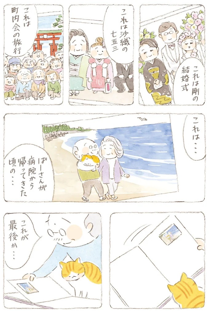 船を猫たちが港でお出迎え。じいちゃんも愛猫に起こされる穏やかな島の朝／ねことじいちゃん7（画像43/143枚目）