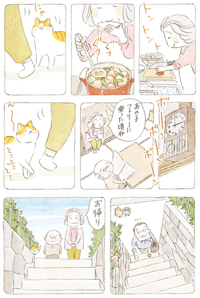船を猫たちが港でお出迎え。じいちゃんも愛猫に起こされる穏やかな島の朝／ねことじいちゃん7（画像46/143枚目）