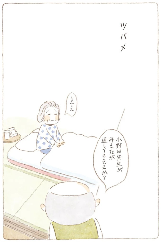船を猫たちが港でお出迎え。じいちゃんも愛猫に起こされる穏やかな島の朝／ねことじいちゃん7（画像52/143枚目）