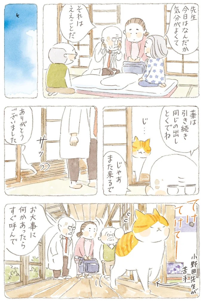 船を猫たちが港でお出迎え。じいちゃんも愛猫に起こされる穏やかな島の朝／ねことじいちゃん7（画像53/143枚目）