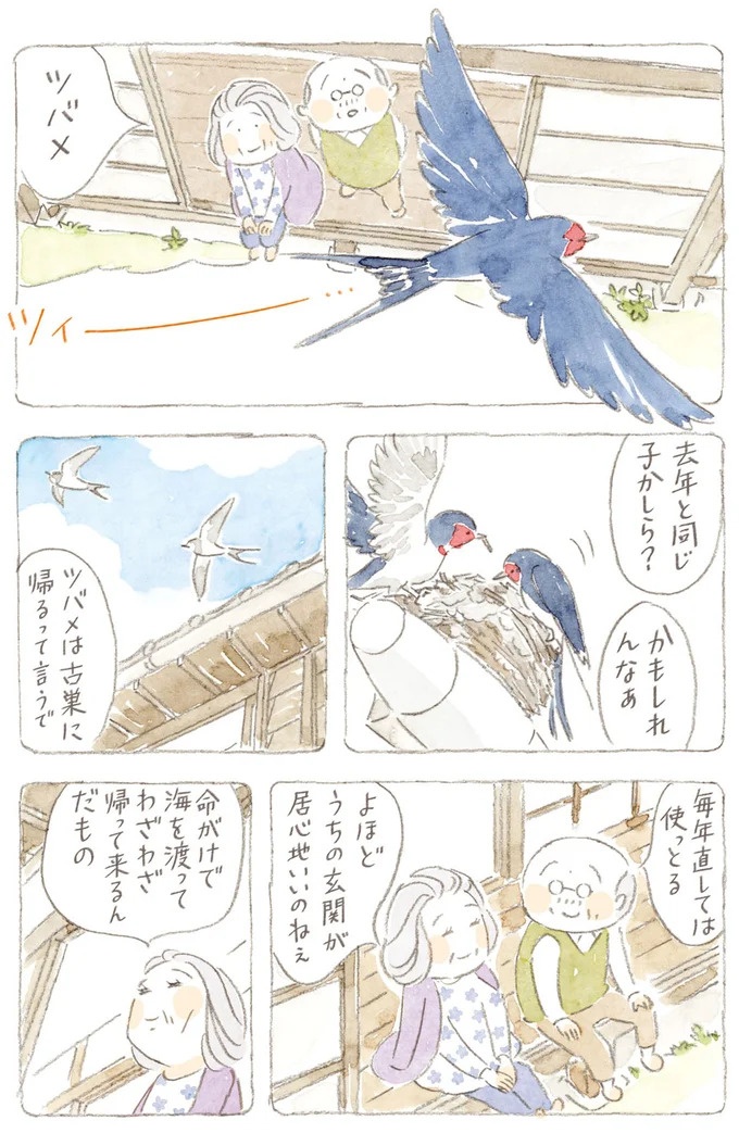 船を猫たちが港でお出迎え。じいちゃんも愛猫に起こされる穏やかな島の朝／ねことじいちゃん7（画像56/143枚目）