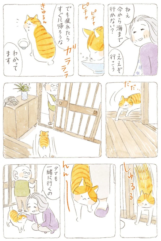 船を猫たちが港でお出迎え。じいちゃんも愛猫に起こされる穏やかな島の朝／ねことじいちゃん7（画像57/143枚目）