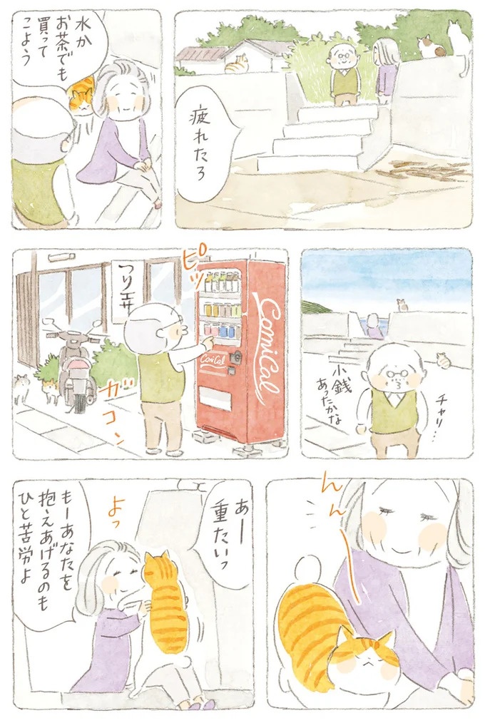 船を猫たちが港でお出迎え。じいちゃんも愛猫に起こされる穏やかな島の朝／ねことじいちゃん7（画像59/143枚目）