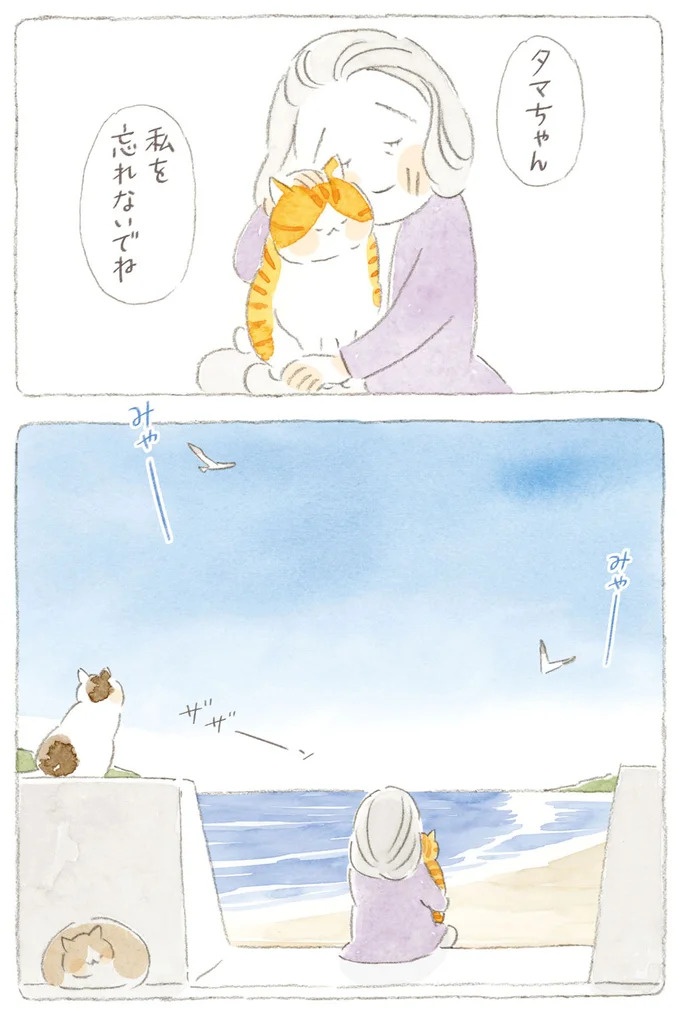 船を猫たちが港でお出迎え。じいちゃんも愛猫に起こされる穏やかな島の朝／ねことじいちゃん7（画像61/143枚目）
