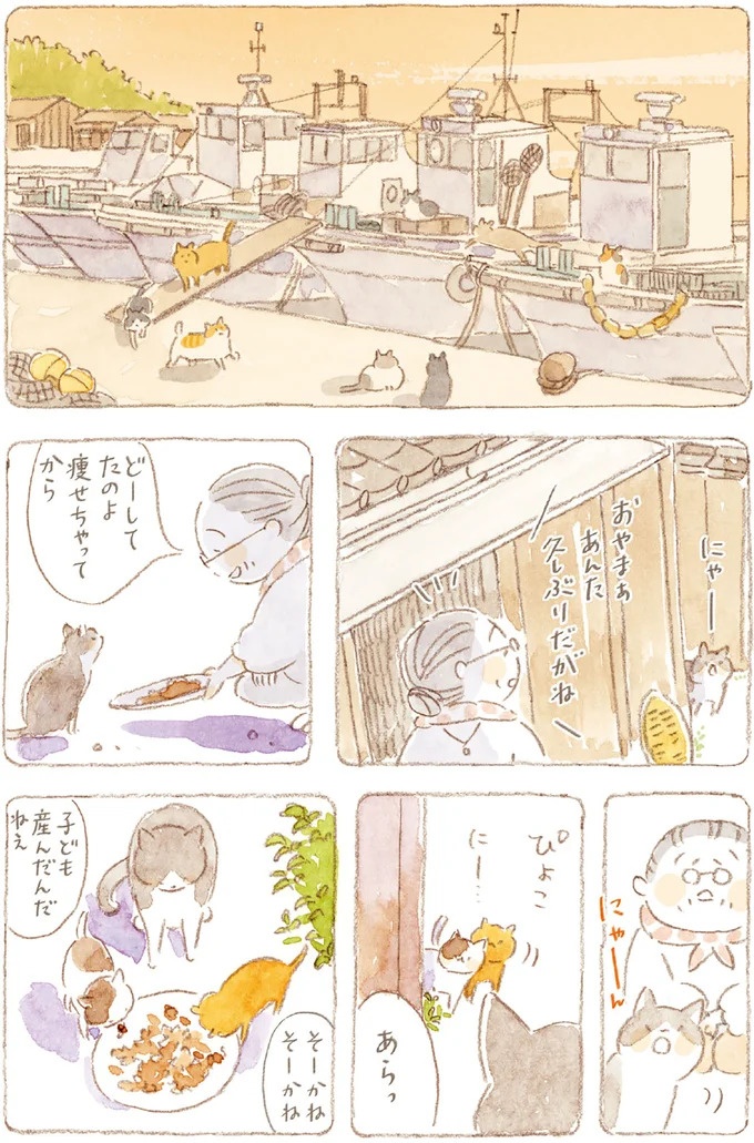 船を猫たちが港でお出迎え。じいちゃんも愛猫に起こされる穏やかな島の朝／ねことじいちゃん7（画像63/143枚目）