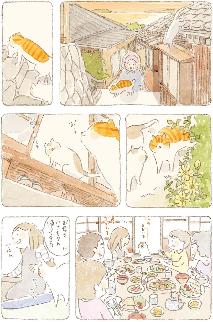 船を猫たちが港でお出迎え。じいちゃんも愛猫に起こされる穏やかな島の朝／ねことじいちゃん7（画像66/143枚目）