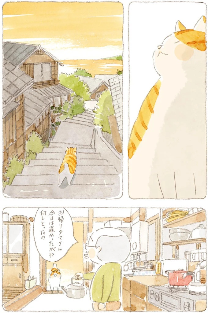船を猫たちが港でお出迎え。じいちゃんも愛猫に起こされる穏やかな島の朝／ねことじいちゃん7（画像68/143枚目）