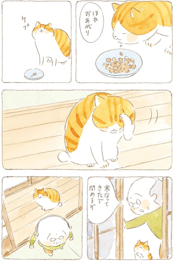 船を猫たちが港でお出迎え。じいちゃんも愛猫に起こされる穏やかな島の朝／ねことじいちゃん7（画像69/143枚目）