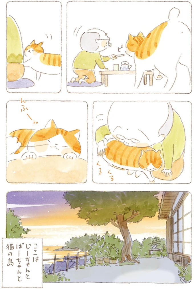 船を猫たちが港でお出迎え。じいちゃんも愛猫に起こされる穏やかな島の朝／ねことじいちゃん7（画像71/143枚目）