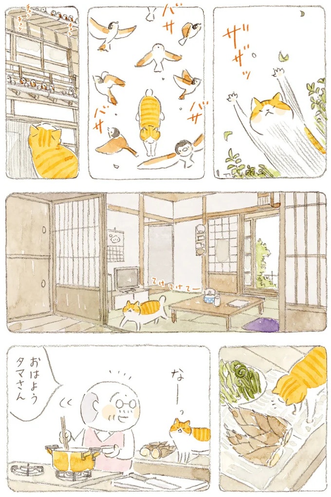 船を猫たちが港でお出迎え。じいちゃんも愛猫に起こされる穏やかな島の朝／ねことじいちゃん7（画像73/143枚目）