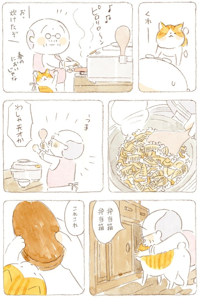 船を猫たちが港でお出迎え。じいちゃんも愛猫に起こされる穏やかな島の朝／ねことじいちゃん7（画像76/143枚目）