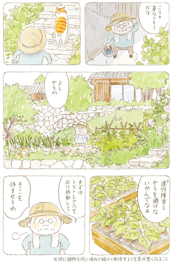 船を猫たちが港でお出迎え。じいちゃんも愛猫に起こされる穏やかな島の朝／ねことじいちゃん7（画像84/143枚目）
