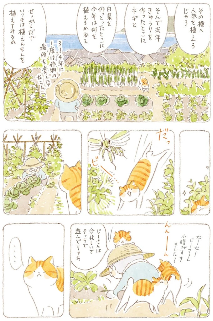 船を猫たちが港でお出迎え。じいちゃんも愛猫に起こされる穏やかな島の朝／ねことじいちゃん7（画像86/143枚目）