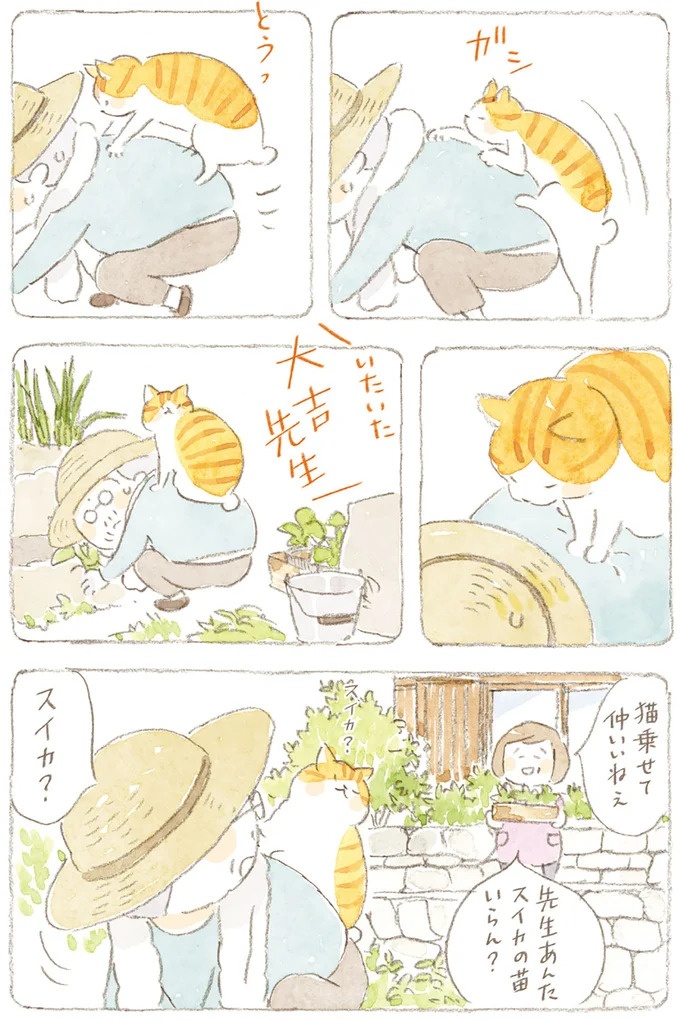 船を猫たちが港でお出迎え。じいちゃんも愛猫に起こされる穏やかな島の朝／ねことじいちゃん7（画像87/143枚目）