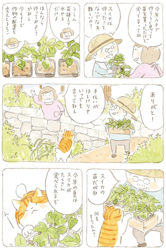 船を猫たちが港でお出迎え。じいちゃんも愛猫に起こされる穏やかな島の朝／ねことじいちゃん7（画像88/143枚目）