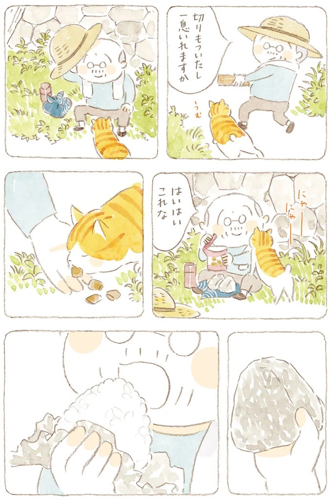 船を猫たちが港でお出迎え。じいちゃんも愛猫に起こされる穏やかな島の朝／ねことじいちゃん7（画像89/143枚目）