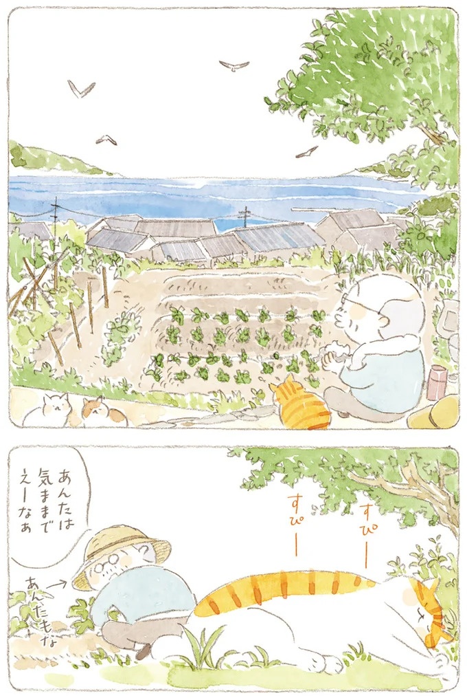 船を猫たちが港でお出迎え。じいちゃんも愛猫に起こされる穏やかな島の朝／ねことじいちゃん7（画像91/143枚目）