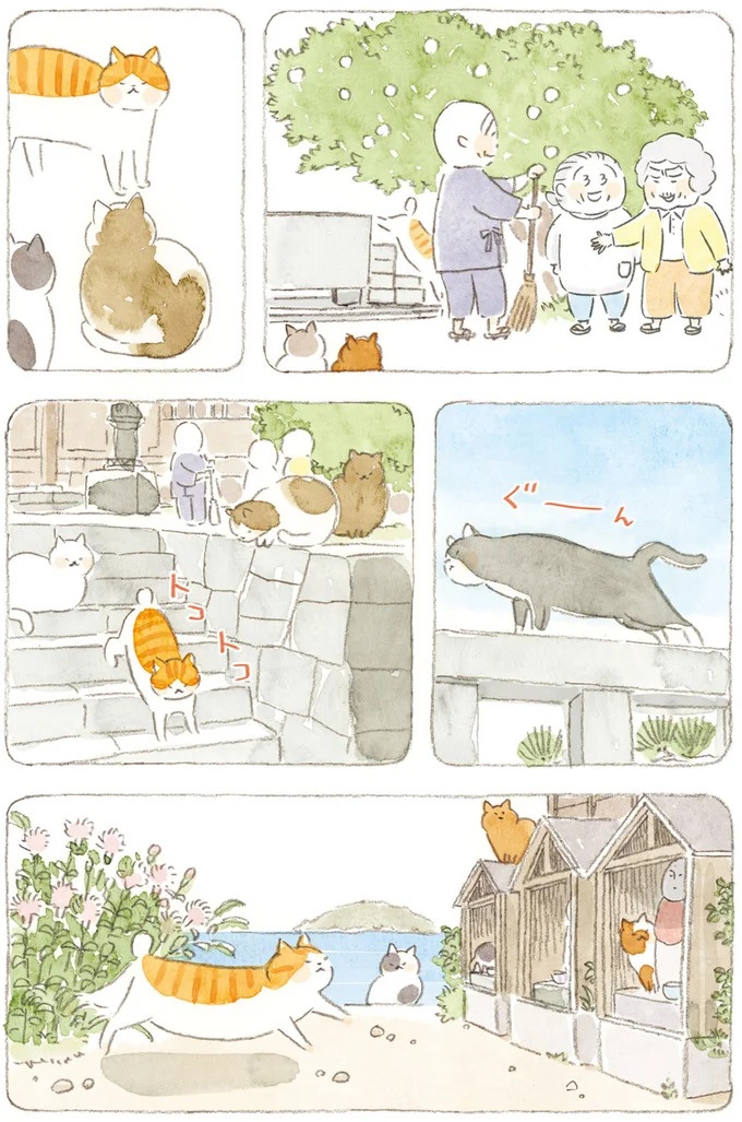 船を猫たちが港でお出迎え。じいちゃんも愛猫に起こされる穏やかな島の朝／ねことじいちゃん7（画像108/143枚目）