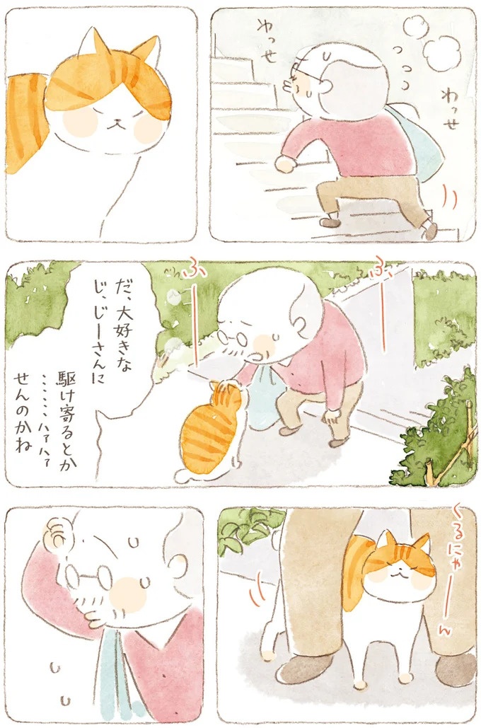 船を猫たちが港でお出迎え。じいちゃんも愛猫に起こされる穏やかな島の朝／ねことじいちゃん7（画像111/143枚目）