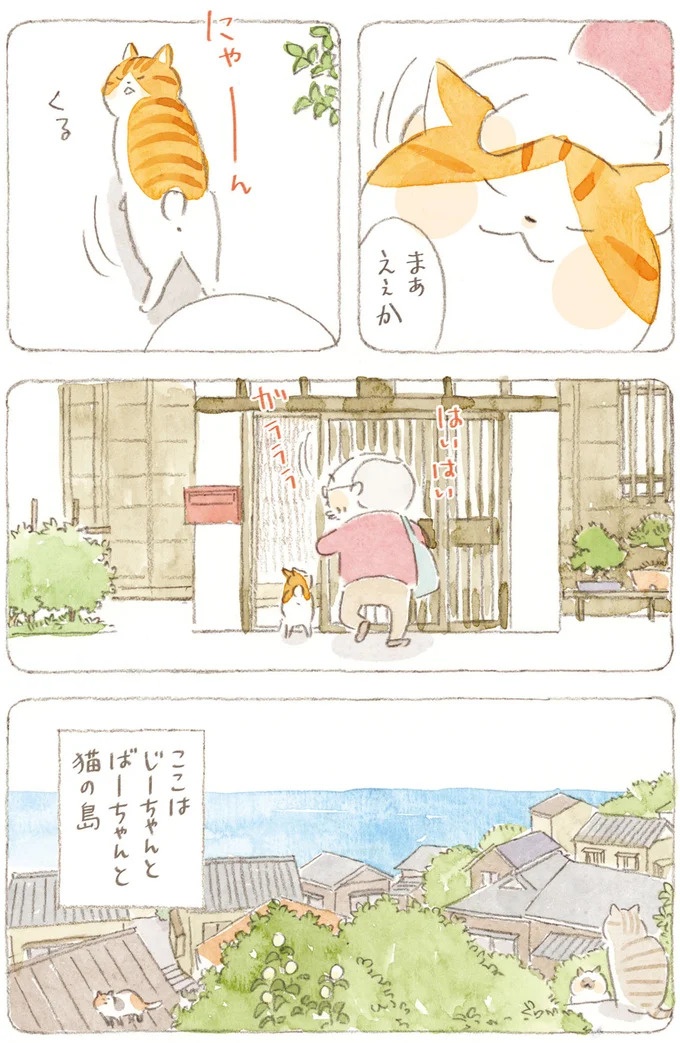 船を猫たちが港でお出迎え。じいちゃんも愛猫に起こされる穏やかな島の朝／ねことじいちゃん7（画像112/143枚目）