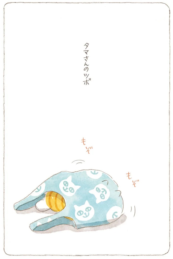 船を猫たちが港でお出迎え。じいちゃんも愛猫に起こされる穏やかな島の朝／ねことじいちゃん7（画像113/143枚目）