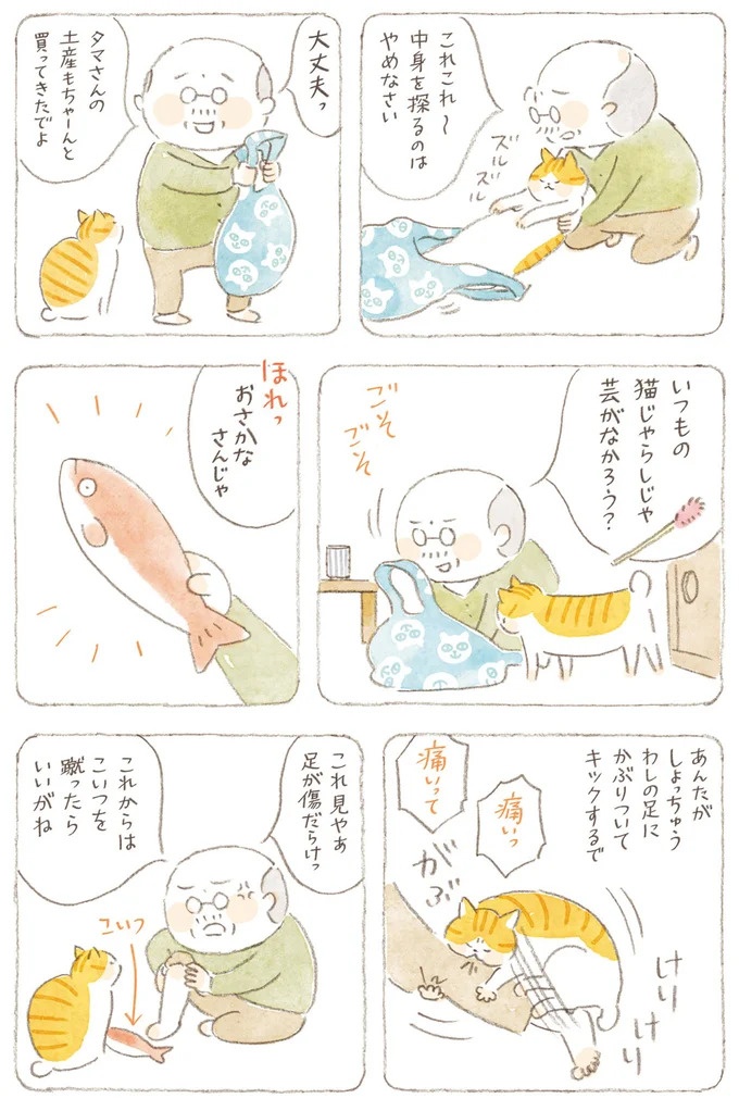 船を猫たちが港でお出迎え。じいちゃんも愛猫に起こされる穏やかな島の朝／ねことじいちゃん7（画像114/143枚目）