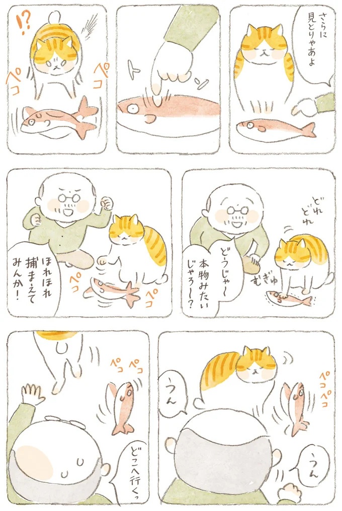 船を猫たちが港でお出迎え。じいちゃんも愛猫に起こされる穏やかな島の朝／ねことじいちゃん7（画像116/143枚目）