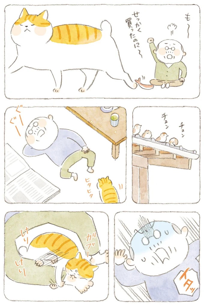 船を猫たちが港でお出迎え。じいちゃんも愛猫に起こされる穏やかな島の朝／ねことじいちゃん7（画像117/143枚目）