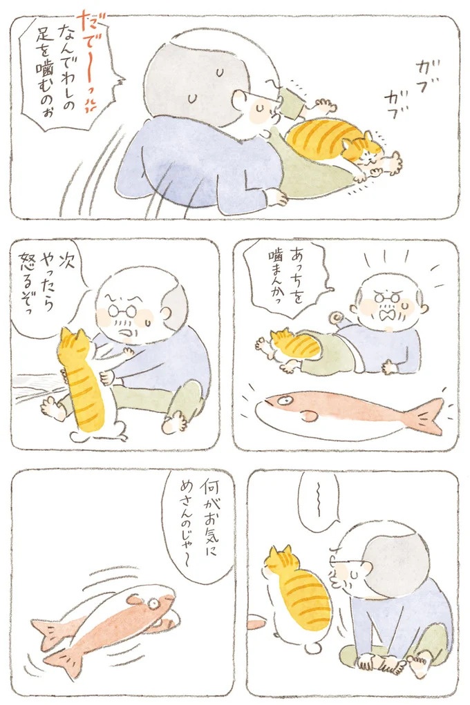 船を猫たちが港でお出迎え。じいちゃんも愛猫に起こされる穏やかな島の朝／ねことじいちゃん7（画像118/143枚目）