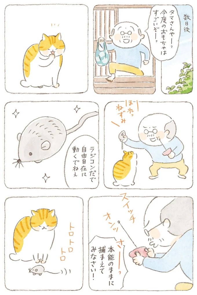 船を猫たちが港でお出迎え。じいちゃんも愛猫に起こされる穏やかな島の朝／ねことじいちゃん7（画像119/143枚目）