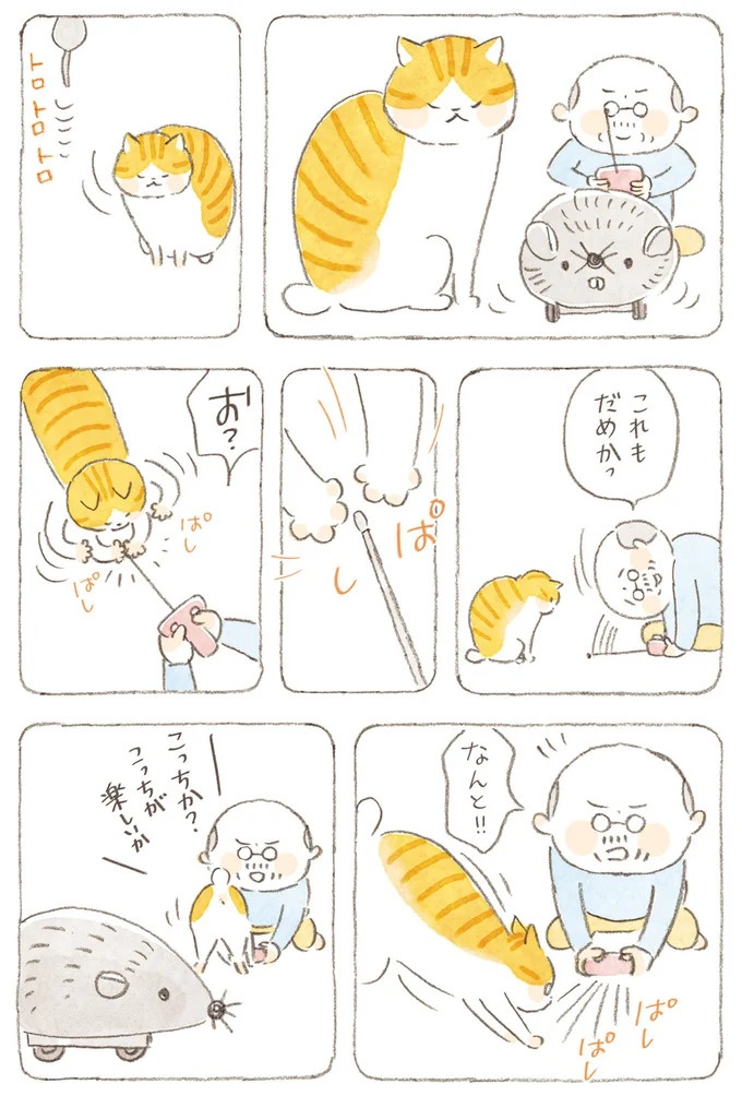 船を猫たちが港でお出迎え。じいちゃんも愛猫に起こされる穏やかな島の朝／ねことじいちゃん7（画像121/143枚目）