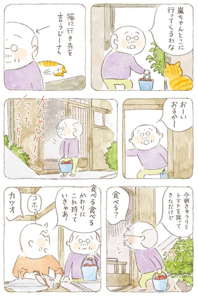 船を猫たちが港でお出迎え。じいちゃんも愛猫に起こされる穏やかな島の朝／ねことじいちゃん7（画像124/143枚目）