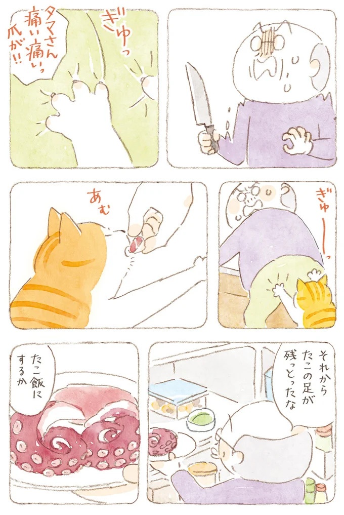 船を猫たちが港でお出迎え。じいちゃんも愛猫に起こされる穏やかな島の朝／ねことじいちゃん7（画像129/143枚目）