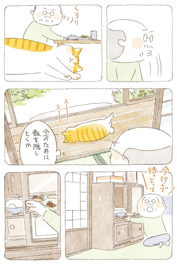 船を猫たちが港でお出迎え。じいちゃんも愛猫に起こされる穏やかな島の朝／ねことじいちゃん7（画像136/143枚目）