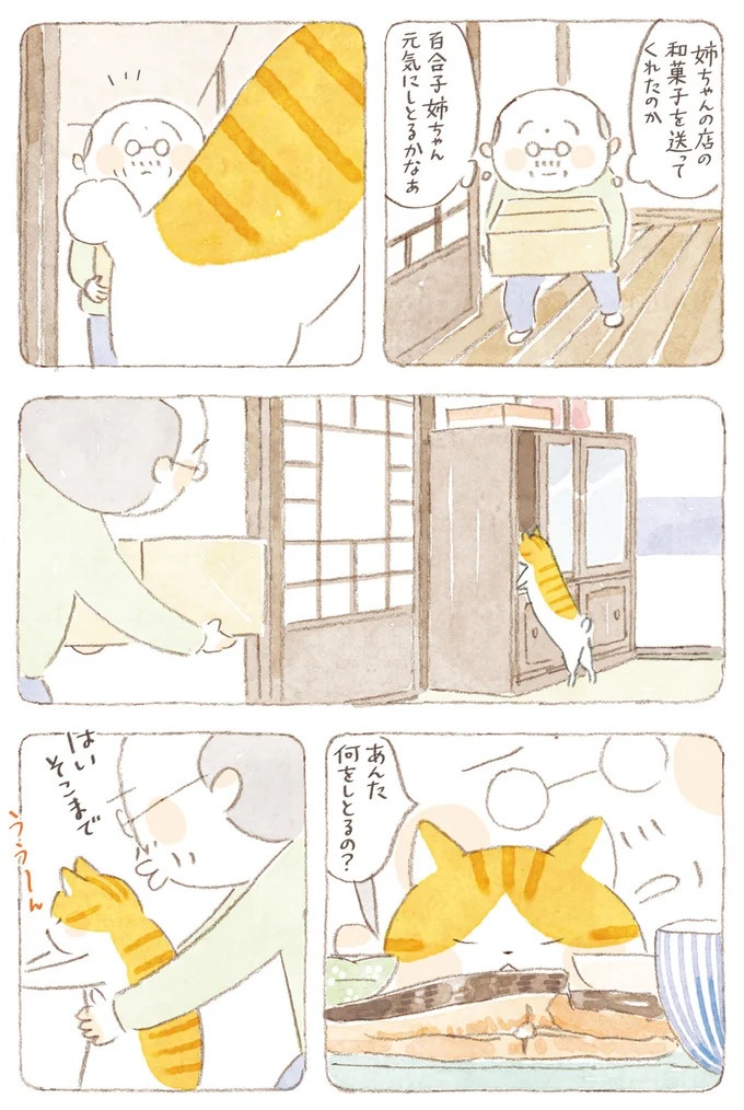 船を猫たちが港でお出迎え。じいちゃんも愛猫に起こされる穏やかな島の朝／ねことじいちゃん7（画像138/143枚目）