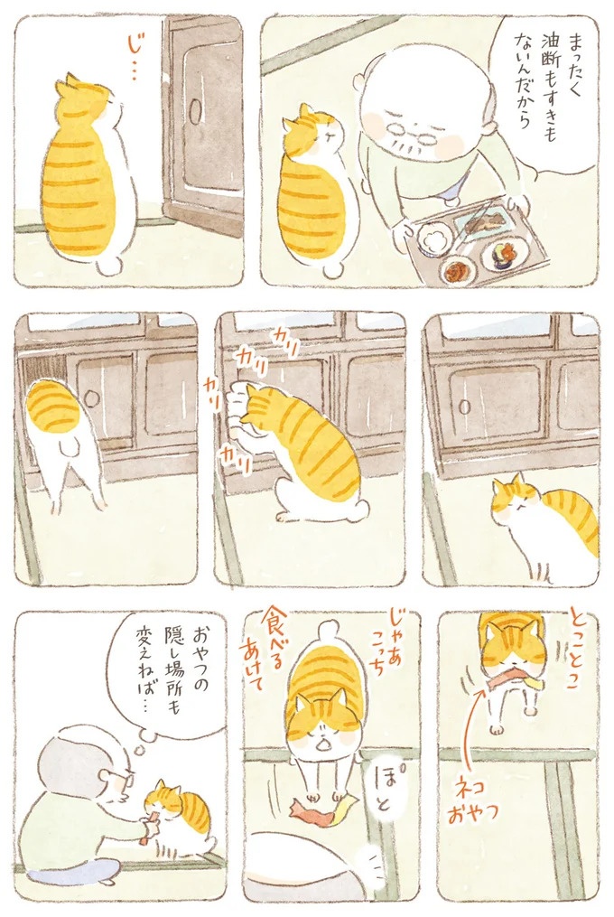 船を猫たちが港でお出迎え。じいちゃんも愛猫に起こされる穏やかな島の朝／ねことじいちゃん7（画像139/143枚目）