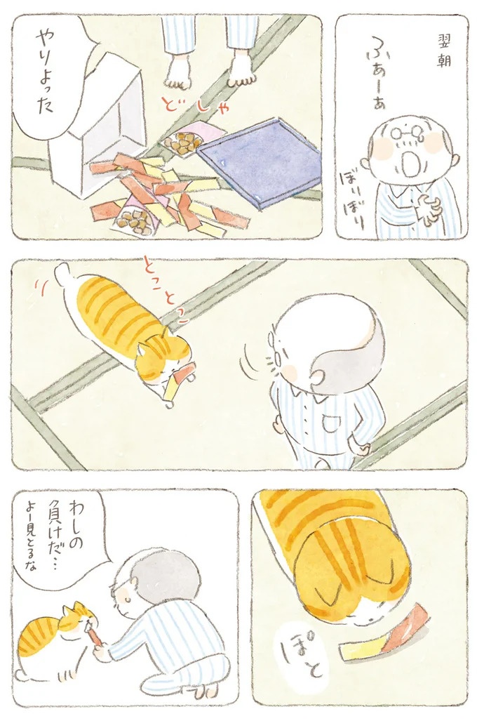 船を猫たちが港でお出迎え。じいちゃんも愛猫に起こされる穏やかな島の朝／ねことじいちゃん7（画像142/143枚目）