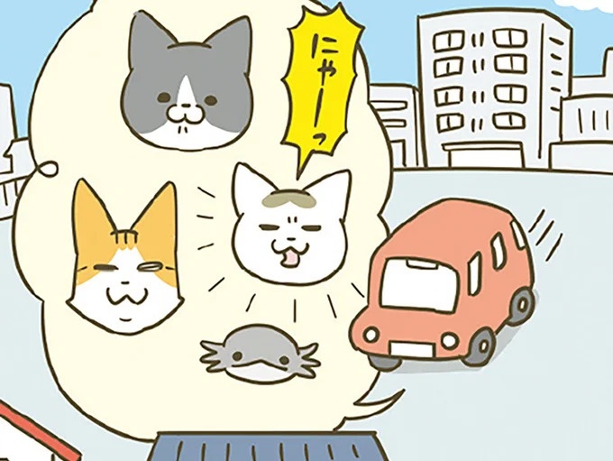 引っ越し先でオドオドする猫たち。初めて見る階段にも個性が／うちの猫がまた変なことしてる。7