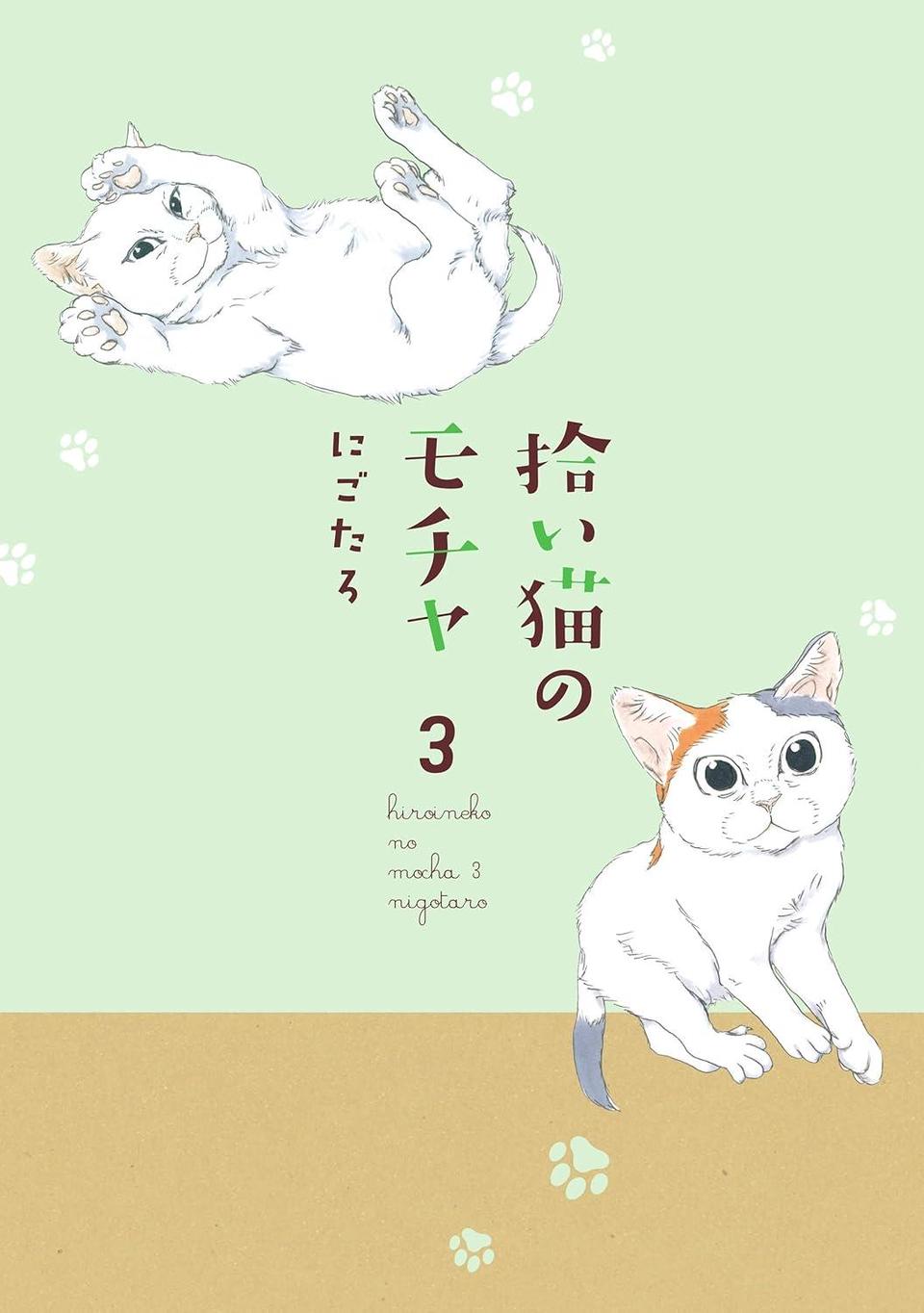 拾い猫のモチャ3～5